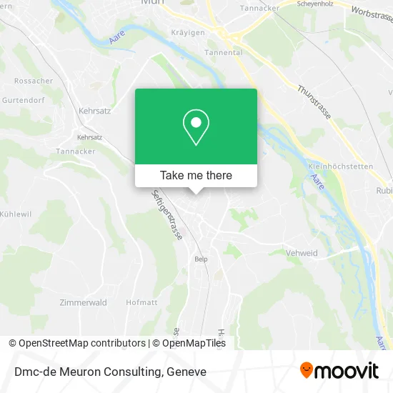 Dmc-de Meuron Consulting map