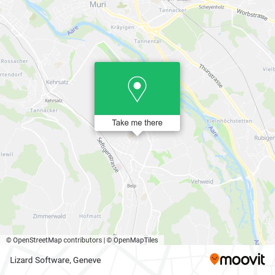 Lizard Software map