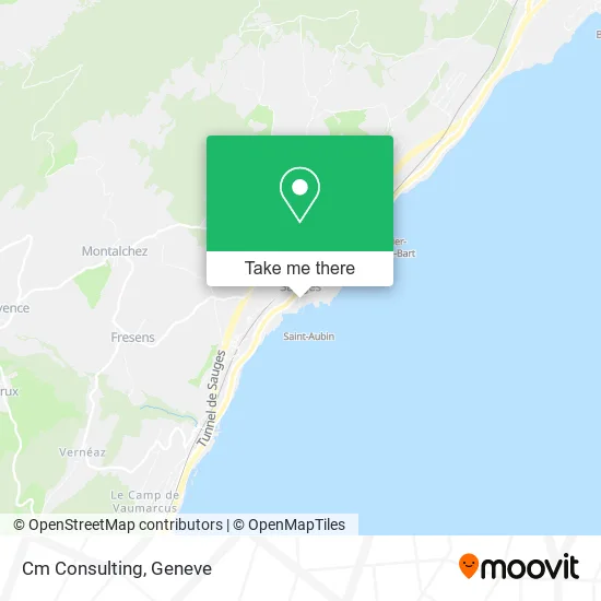 Cm Consulting plan