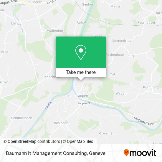 Baumann It Management Consulting map