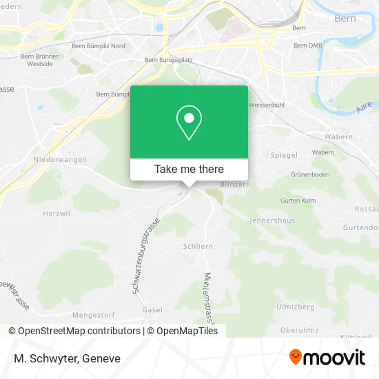 M. Schwyter map