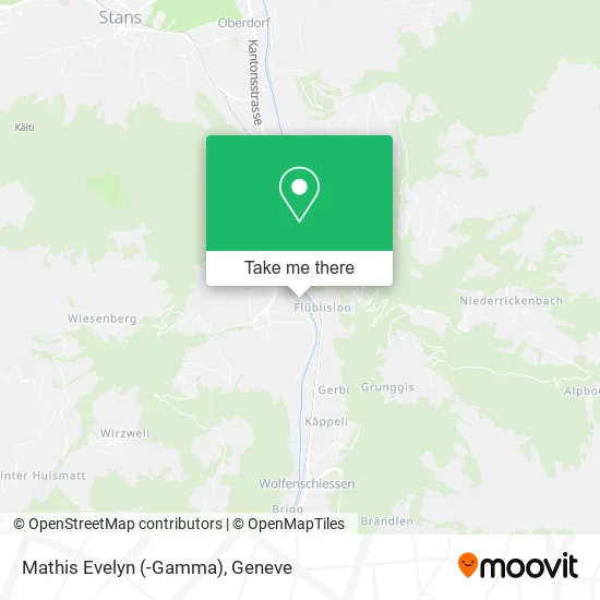 Mathis Evelyn (-Gamma) map