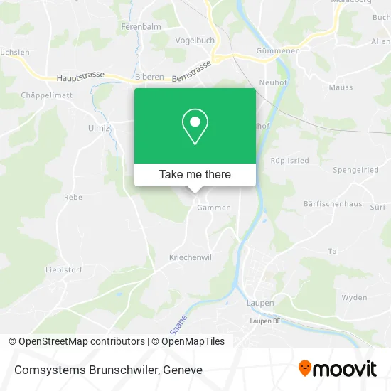 Comsystems Brunschwiler map