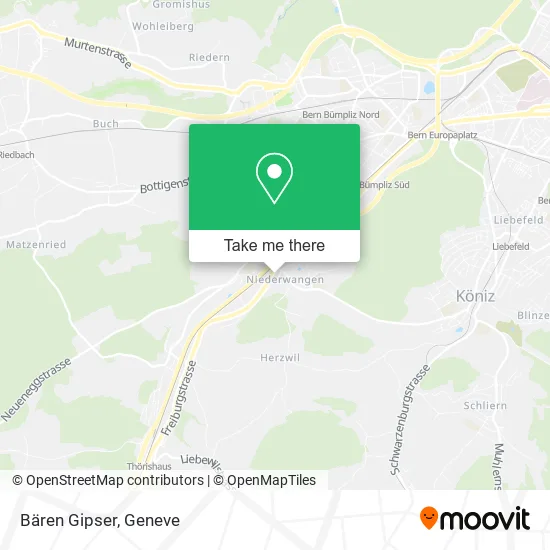 Bären Gipser plan