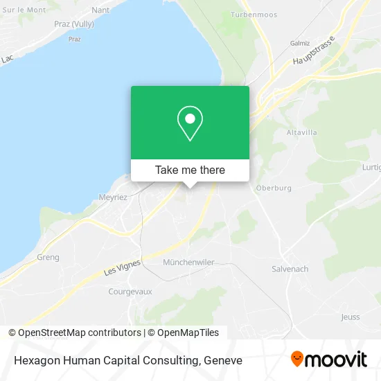 Hexagon Human Capital Consulting map