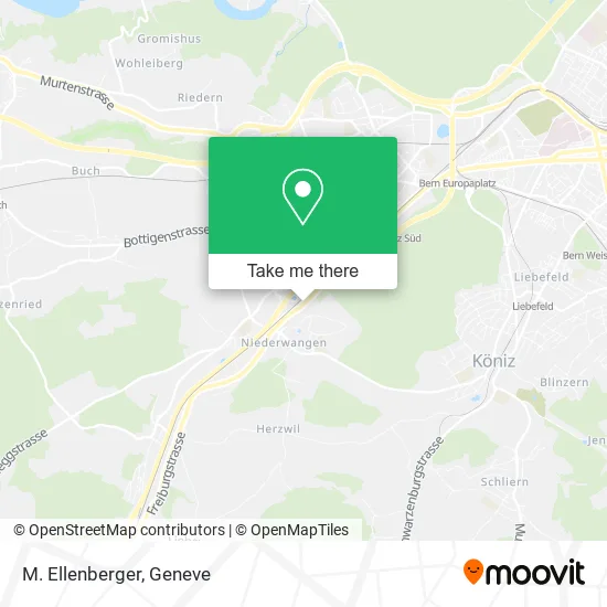M. Ellenberger map