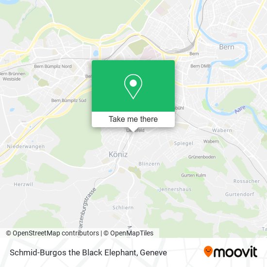 Schmid-Burgos the Black Elephant map