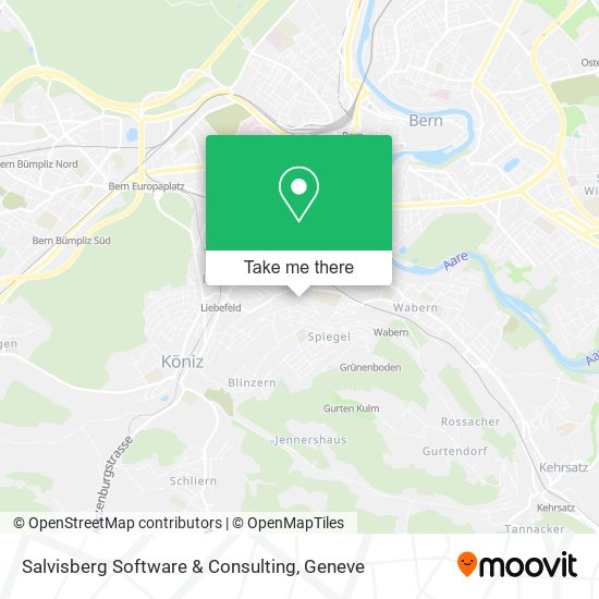 Salvisberg Software & Consulting map