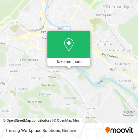 Thriving Workplace Solutions map