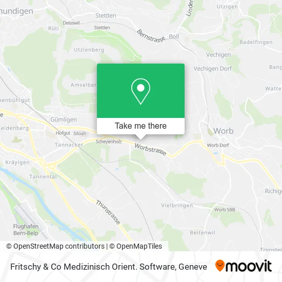 Fritschy & Co Medizinisch Orient. Software map