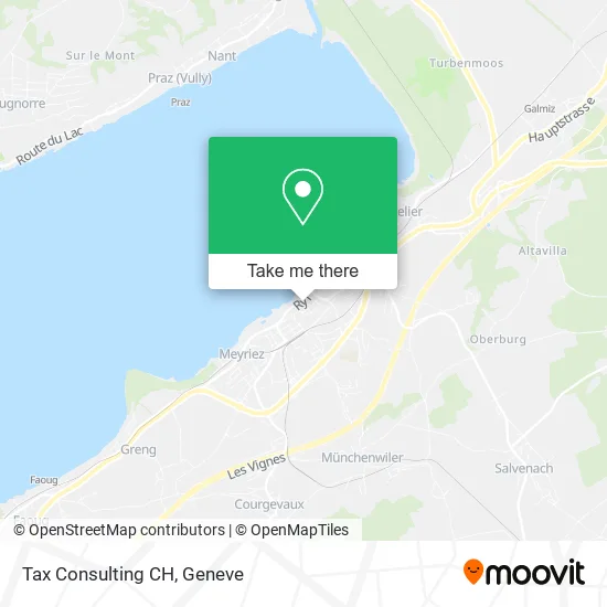 Tax Consulting CH map