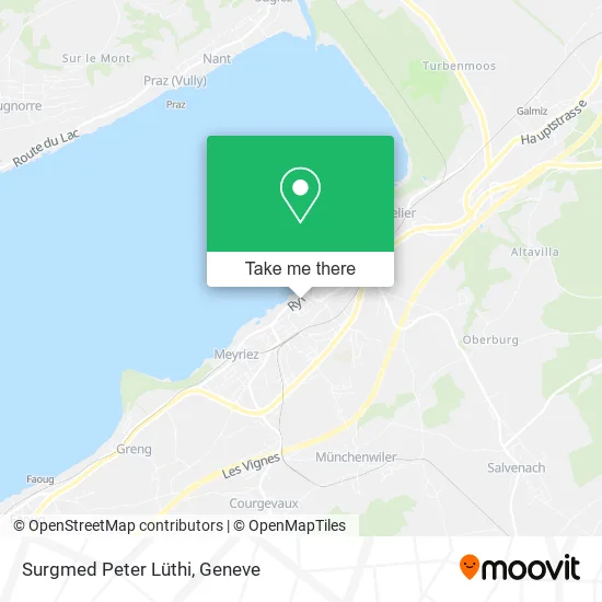 Surgmed Peter Lüthi map