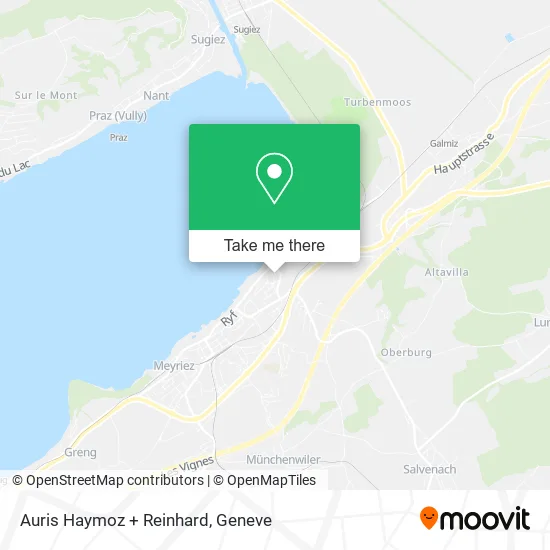 Auris Haymoz + Reinhard map
