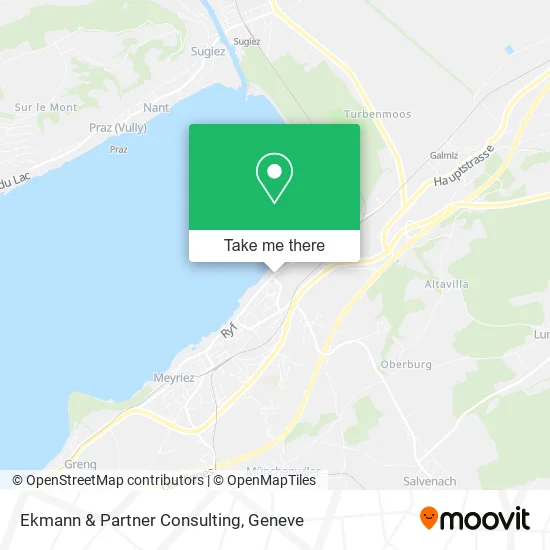 Ekmann & Partner Consulting plan