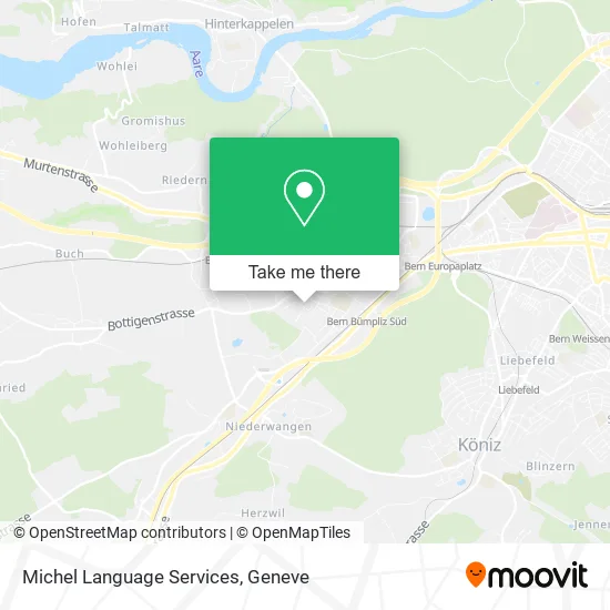 Michel Language Services plan