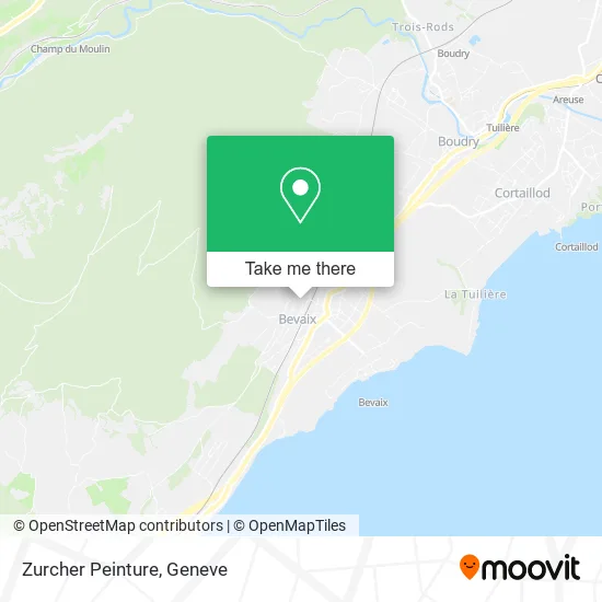 Zurcher Peinture map