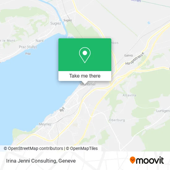 Irina Jenni Consulting map