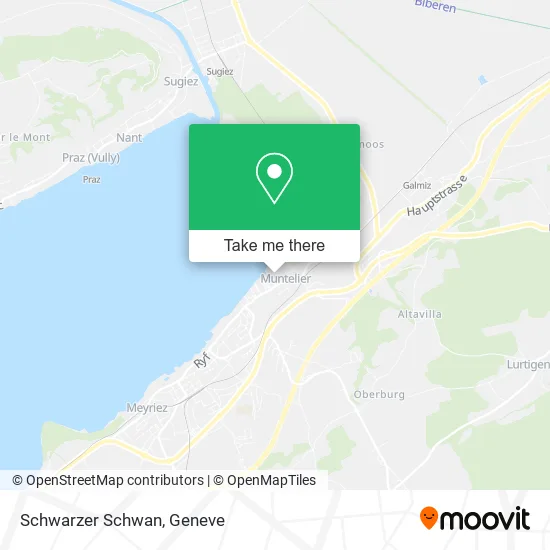Schwarzer Schwan map