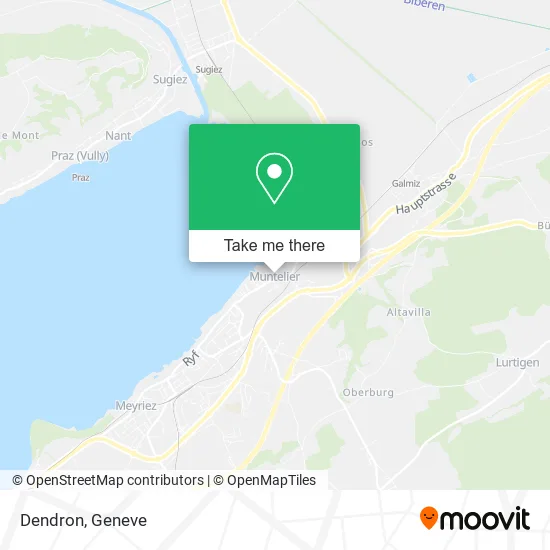 Dendron map