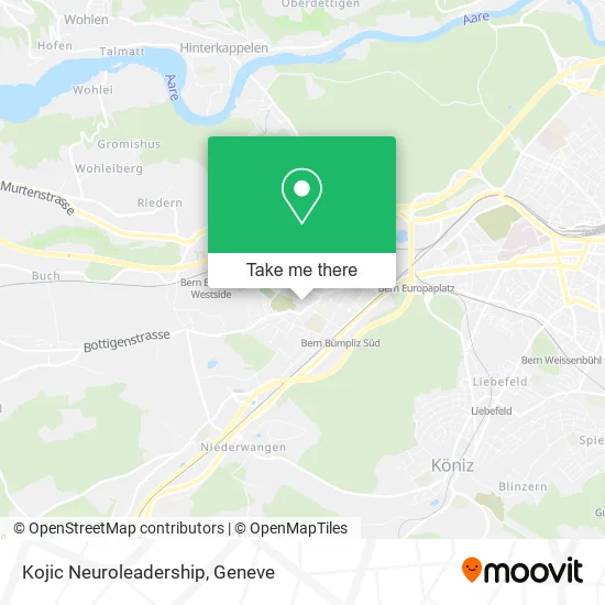 Kojic Neuroleadership map