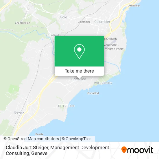 Claudia Jurt Steiger, Management Development Consulting map