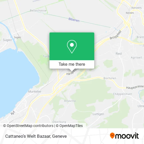 Cattaneo's Welt Bazaar map