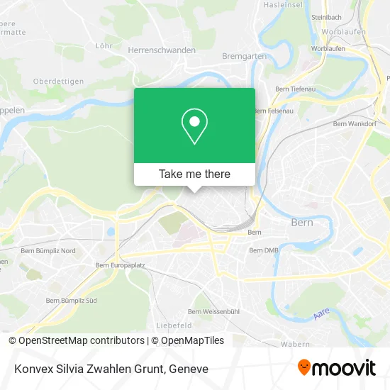 Konvex Silvia Zwahlen Grunt map