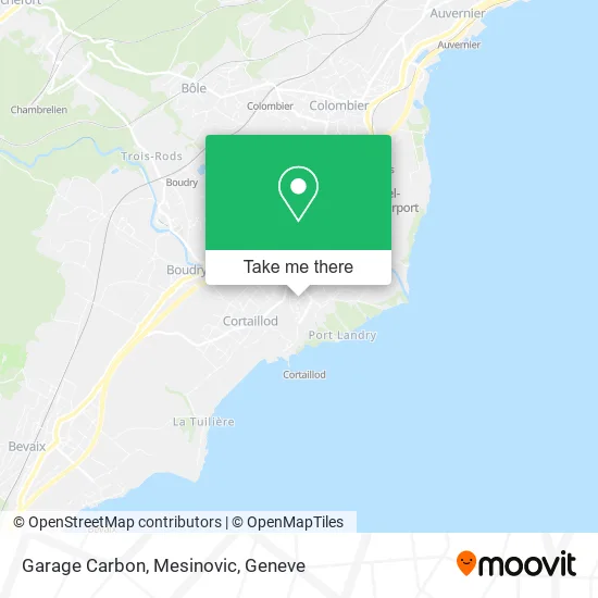 Garage Carbon, Mesinovic map