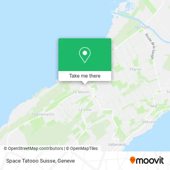 Space Tatooo Suisse map