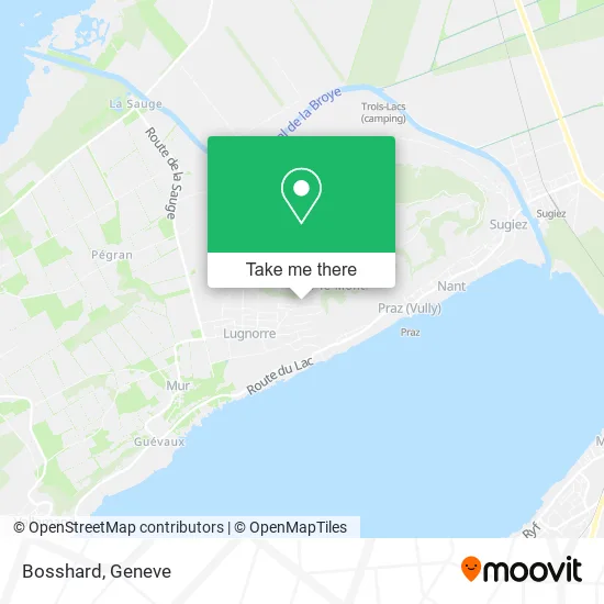 Bosshard map