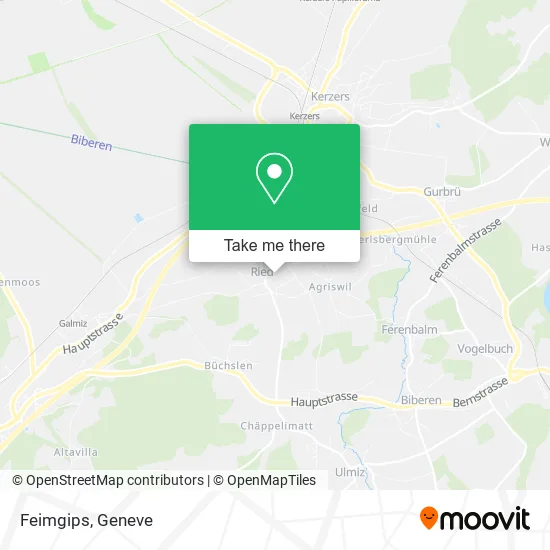 Feimgips map