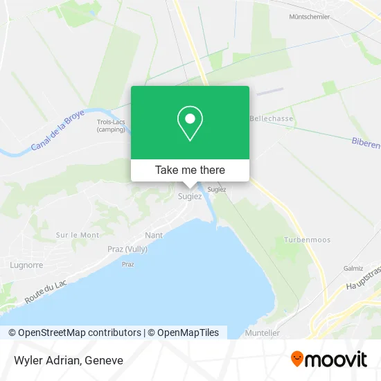 Wyler Adrian map