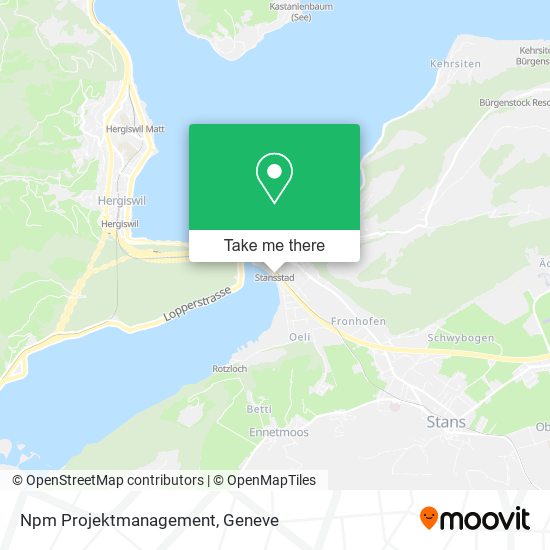 Npm Projektmanagement map