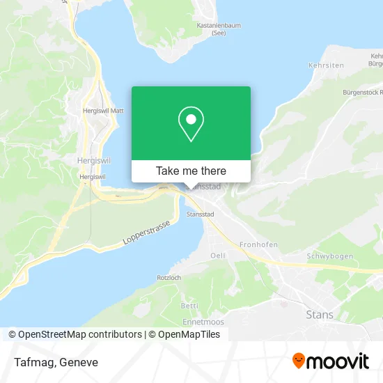 Tafmag map