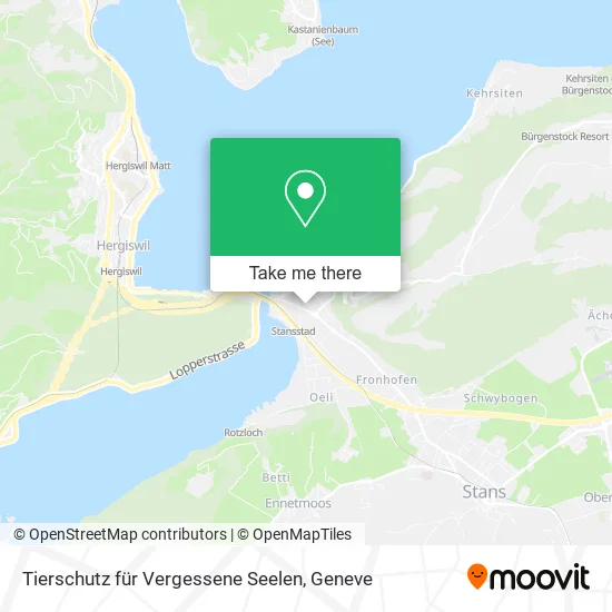 Tierschutz für Vergessene Seelen map
