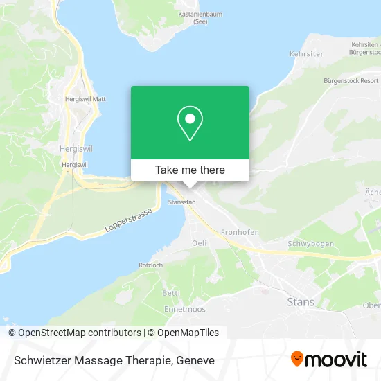 Schwietzer Massage Therapie map