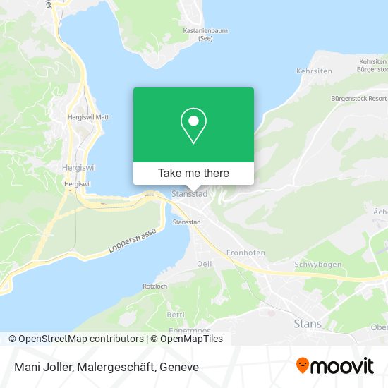 Mani Joller, Malergeschäft map
