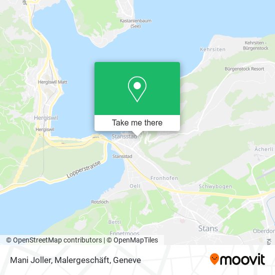 Mani Joller, Malergeschäft map