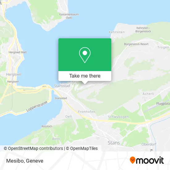 Mesibo map