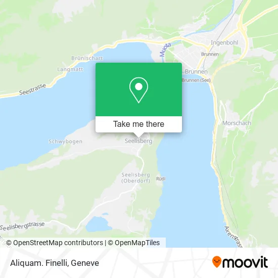 Aliquam. Finelli map