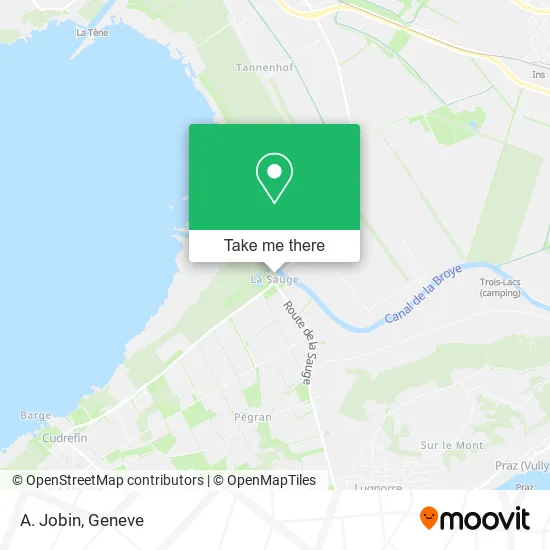 A. Jobin map