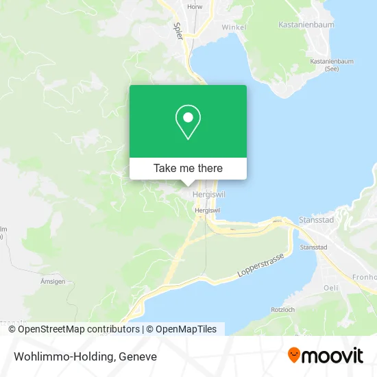 Wohlimmo-Holding map