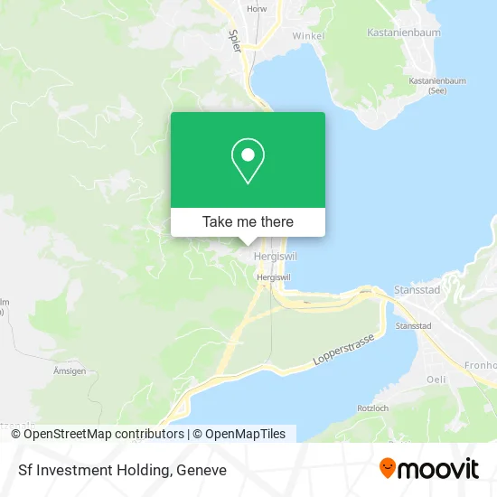 Sf Investment Holding map