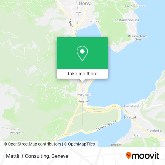 Mattli It Consulting map