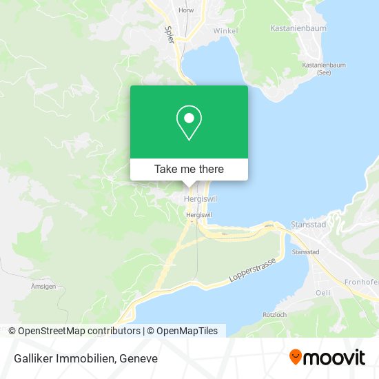 Galliker Immobilien map