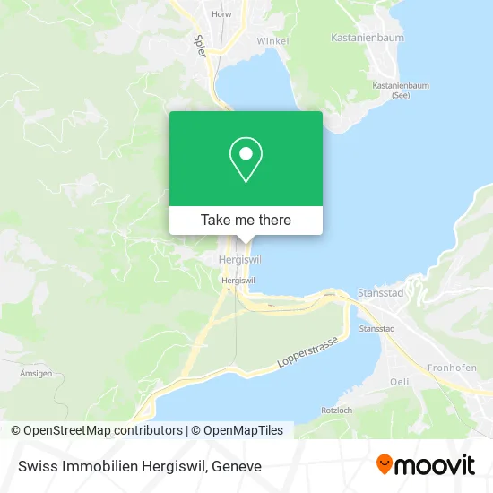 Swiss Immobilien Hergiswil map
