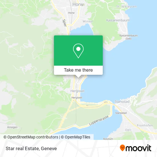 Star real Estate map