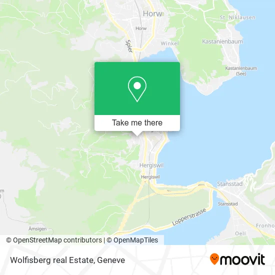 Wolfisberg real Estate map