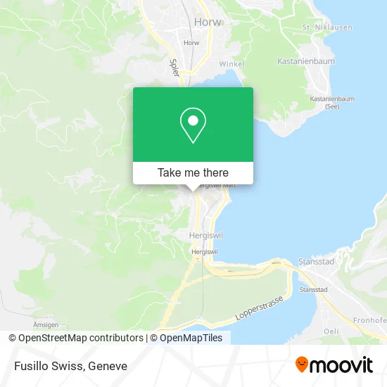 Fusillo Swiss map