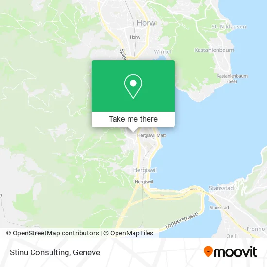 Stinu Consulting plan